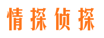 昌江县市调查公司